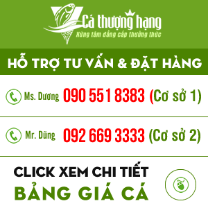 Bảng báo giá cá thượng hạng