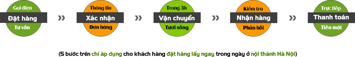 5 bước đặt hàng cá thượng hạng