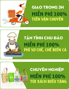 Dịch vụ của cá thượng hạng