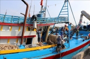 Giá nhiên liệu tăng cao: Những chuyến ra khơi bị bỏ ngỏ