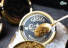 Nhật Bản: Nghiên cứu chuyển đổi giới tính cá tầm trong sản xuất trứng caviar