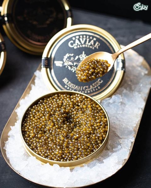 Dot-pha-chuyen-gioi-trung-ca-tam Trung-ca-tam-caviar